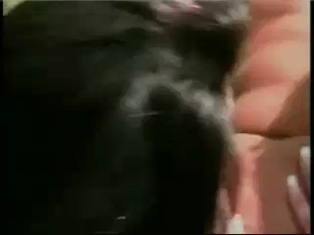 American Woman Blowjob Hardcore Out Door Sex Public Sex