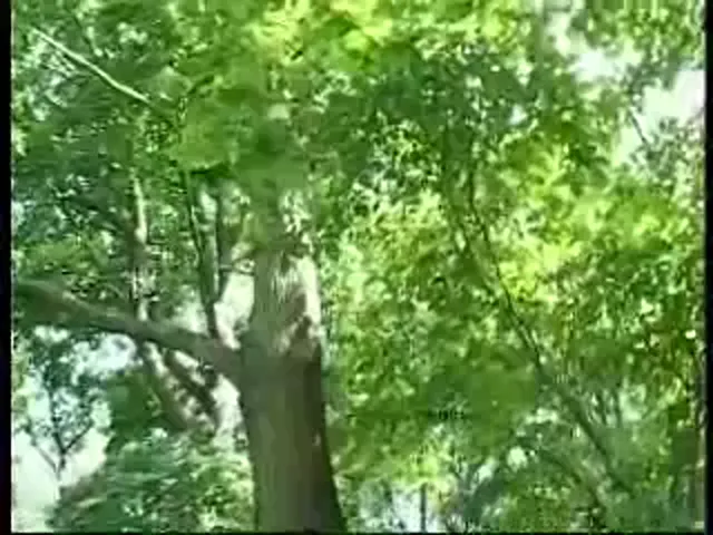 European Woman Fetish Lesbian