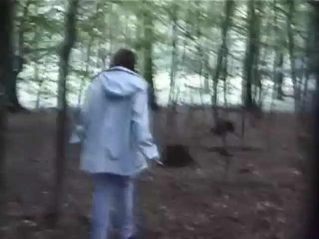 Shitlover Scene