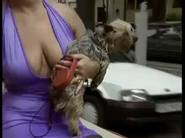 European Woman Blowjob Hardcore Tits