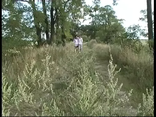 Gay Scene