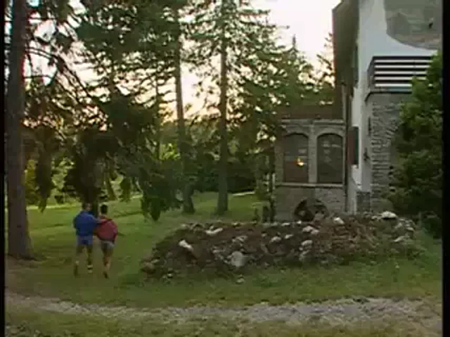 Gay Scene