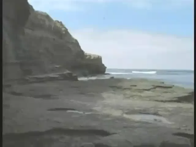 Shitlover Scene