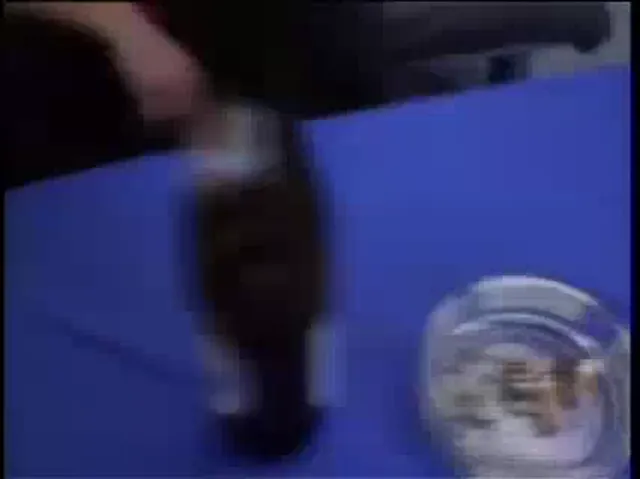 Barely Legal European Blowjob Hardcore Amateur