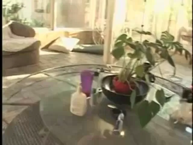 European Woman Blowjob Hardcore Pussy Play