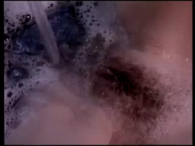 American Woman Busty Blowjob Hardcore Tits