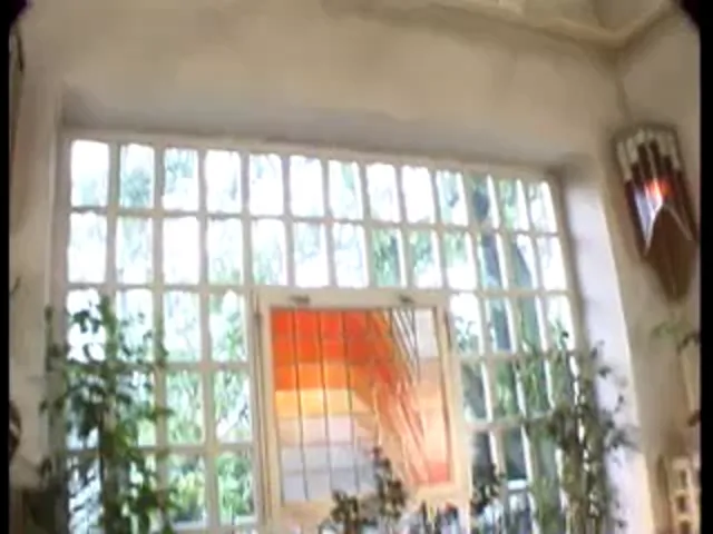 European Woman Blowjob Hardcore Beauty Pussy Play