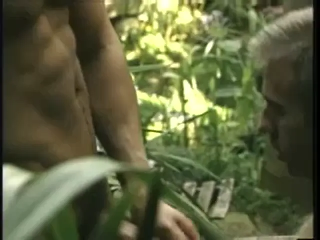 Gay Scene