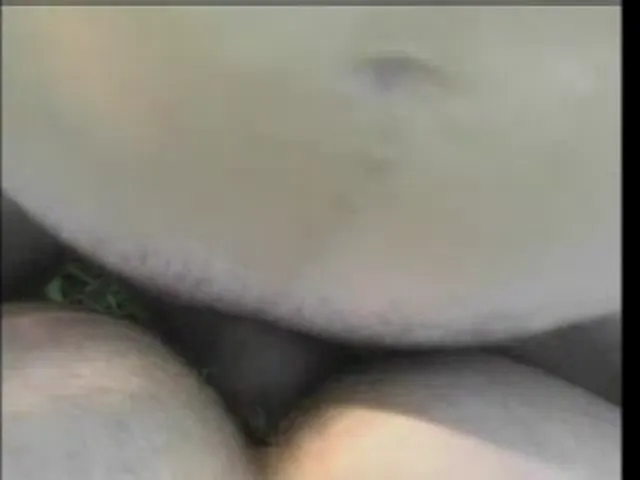 Gay Scene