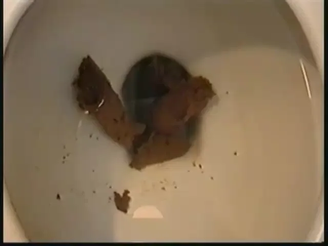 Shitlover Scene