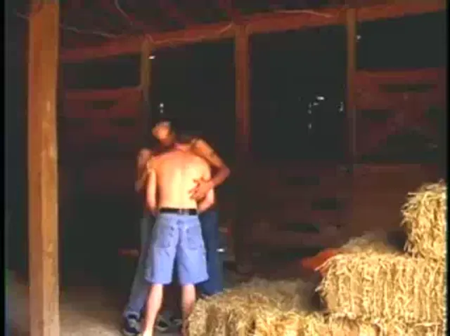 Gay Scene