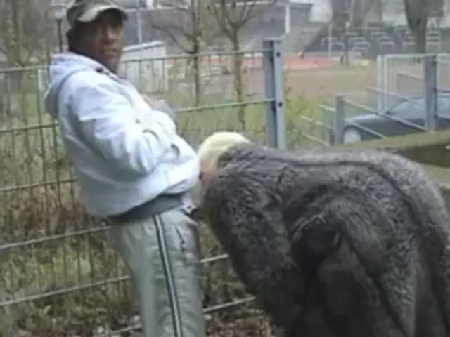 Mature European Blowjob Hardcore GILF Granny
