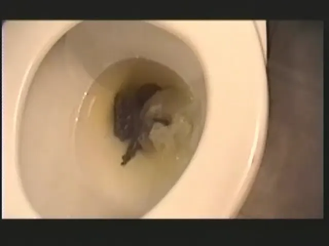 Shitlover Scene