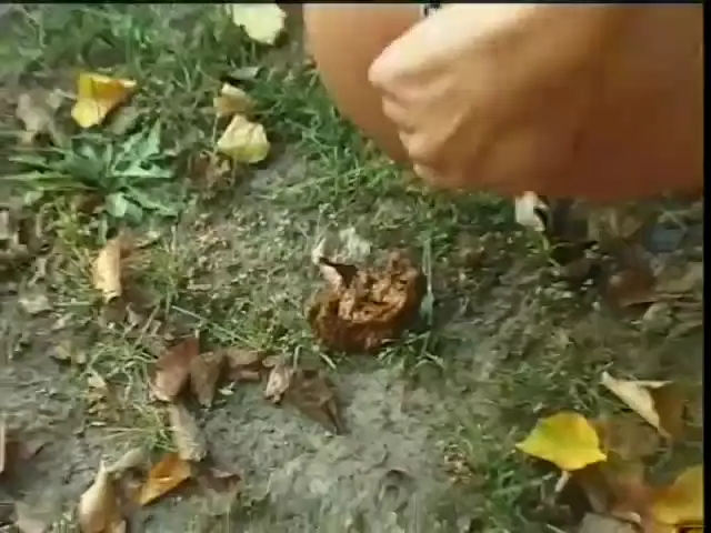 Shitlover Scene