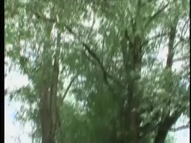 European Woman Blowjob Hardcore Out Door Sex Pissing/Squi...