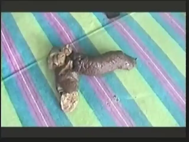 Shitlover Scene