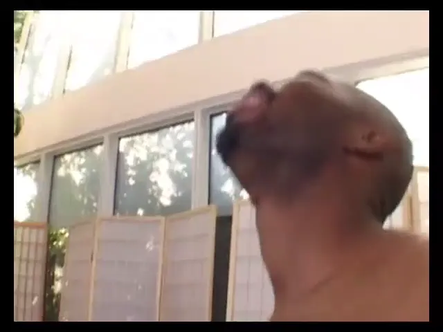 American Woman Blowjob Hardcore Black