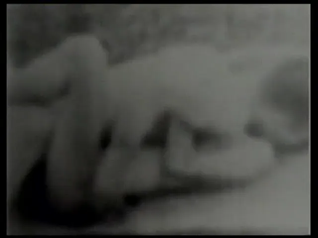 European Woman Blowjob Hardcore Classic Vintage