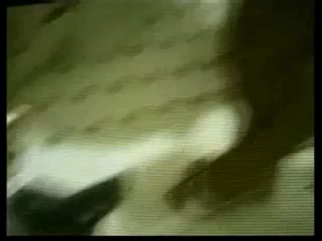 American Woman Blowjob Hardcore