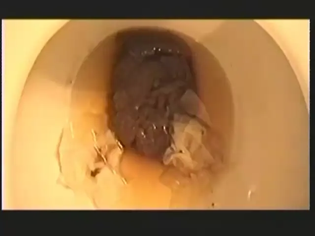 Shitlover Scene