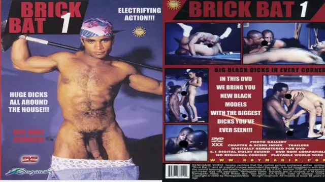 Brick Bat #1