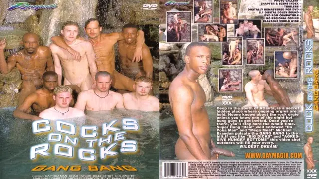 Cocks On The Rocks - Gang Bang