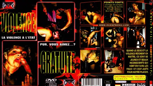 Violence Gratuite