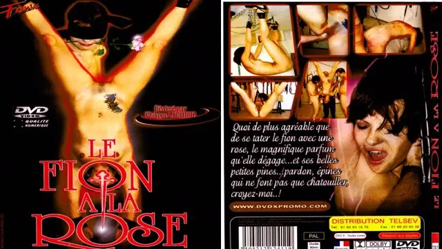 LE FION A LA ROSE