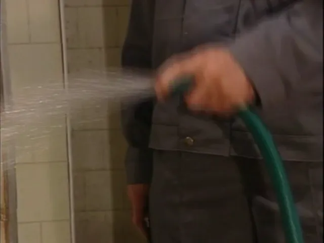German Mature/MILF Brunette Ass Licking Bathroom Kiss