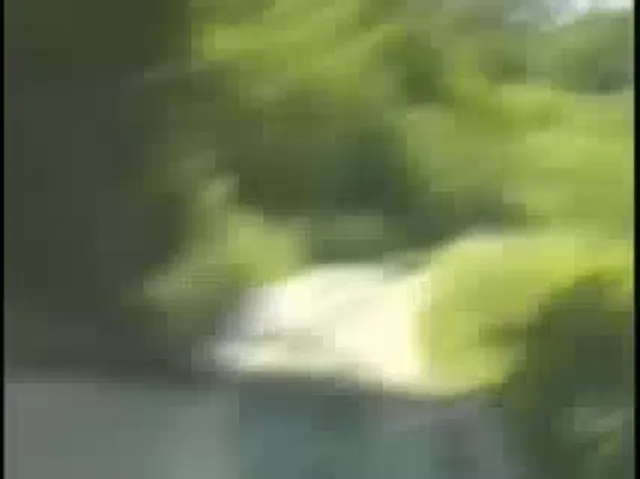 Gay Scene