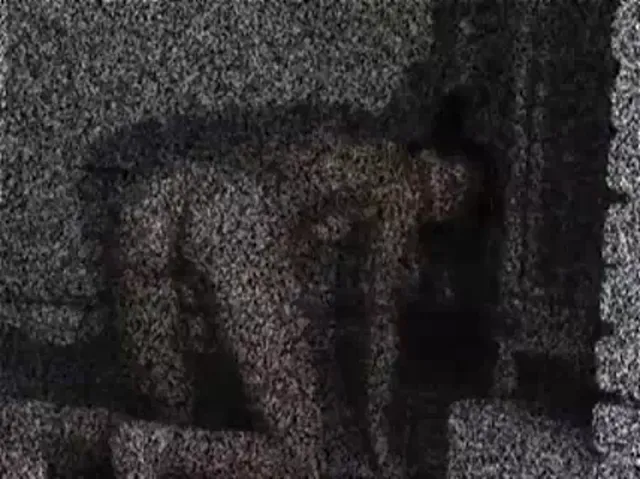 Shitlover Scene