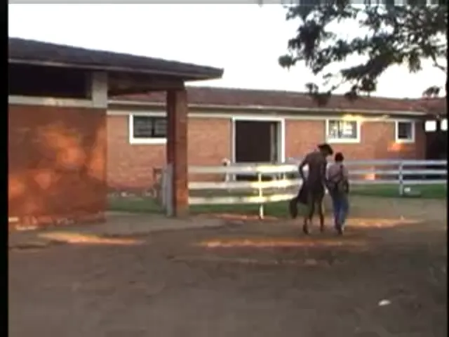 Gay Scene