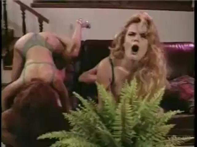 American Woman Blowjob Hardcore