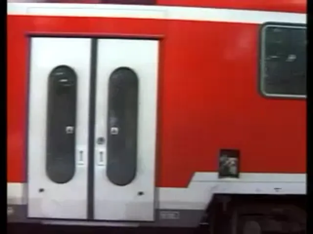 European Woman Blowjob Hardcore