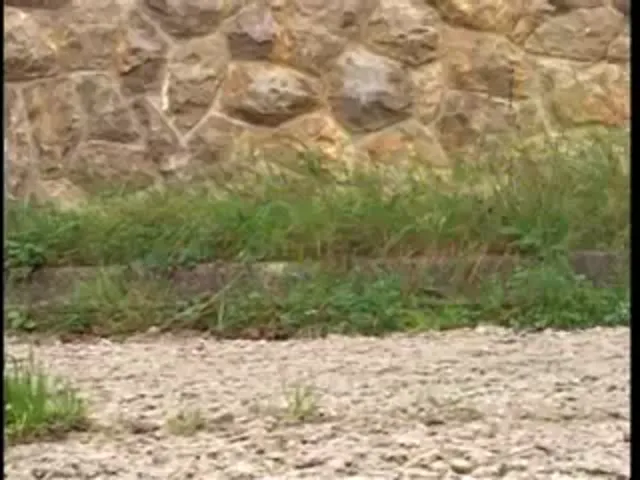 European Woman Blowjob Hardcore Black Out Door Sex