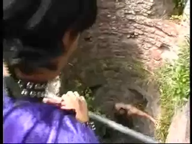 Domination/SM Scene